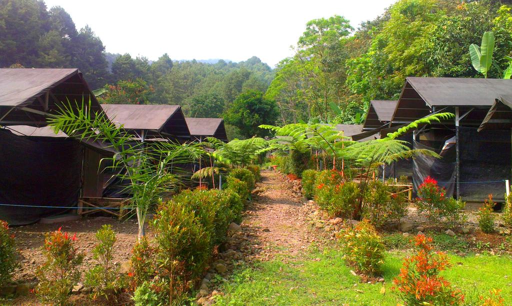 tempat glamping seru di Bogor